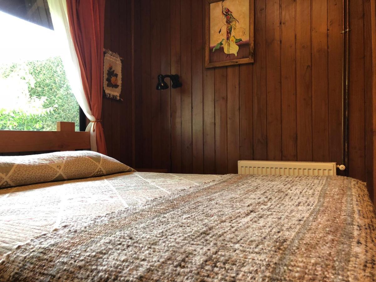 Hostal El Nogal Pucón Eksteriør bilde