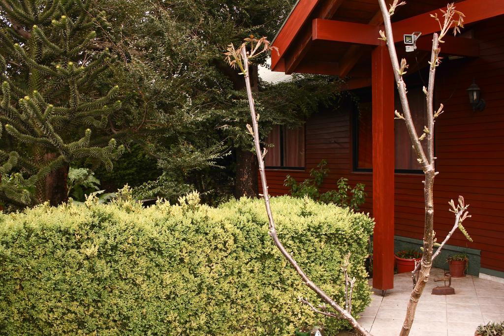 Hostal El Nogal Pucón Eksteriør bilde